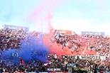 Bologna 1-0 Atalanta 2023_2024