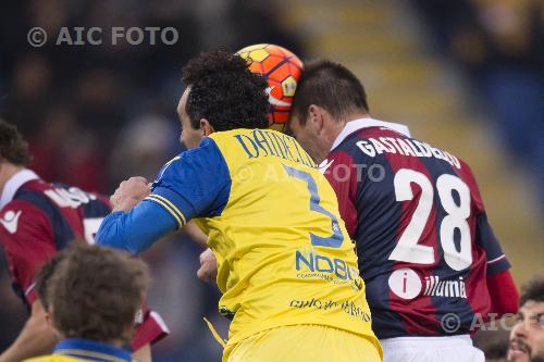 Bologna Dario Dainelli Chievo Verona 2016 Bologna, Italy. 