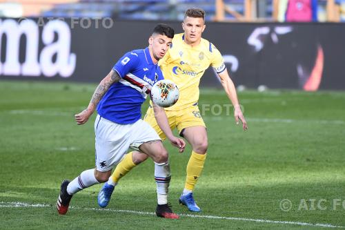 Sampdoria Darko Lazovic Hellas Verona 2020 Parma, Italy 