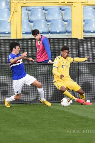 Hellas Verona Tommaso Augello Sampdoria 2020 Parma, Italy 